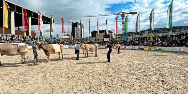 Meistens präsentiert sich die Olma-Arena im besten Sonnenschein – nun aber ziehen dunkle Wolken auf. 