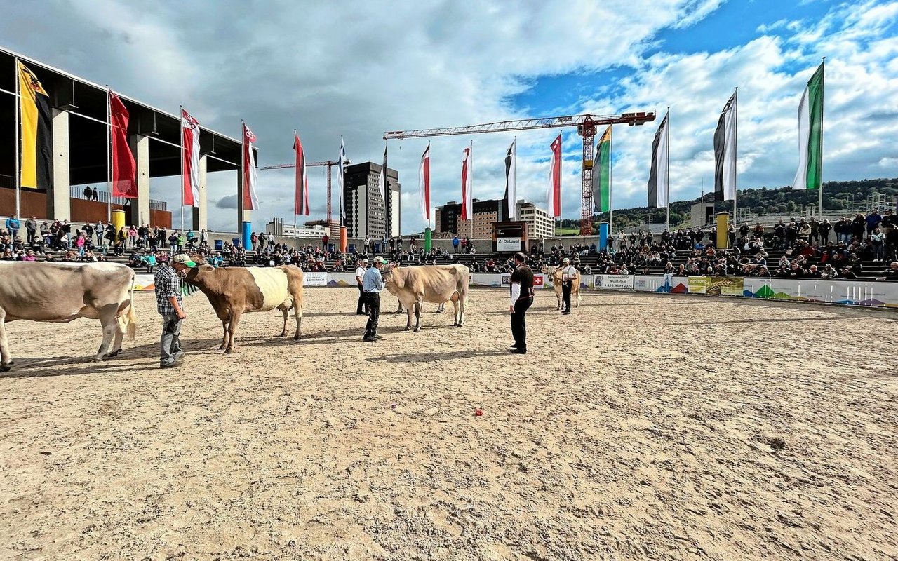 Meistens präsentiert sich die Olma-Arena im besten Sonnenschein – nun aber ziehen dunkle Wolken auf. 