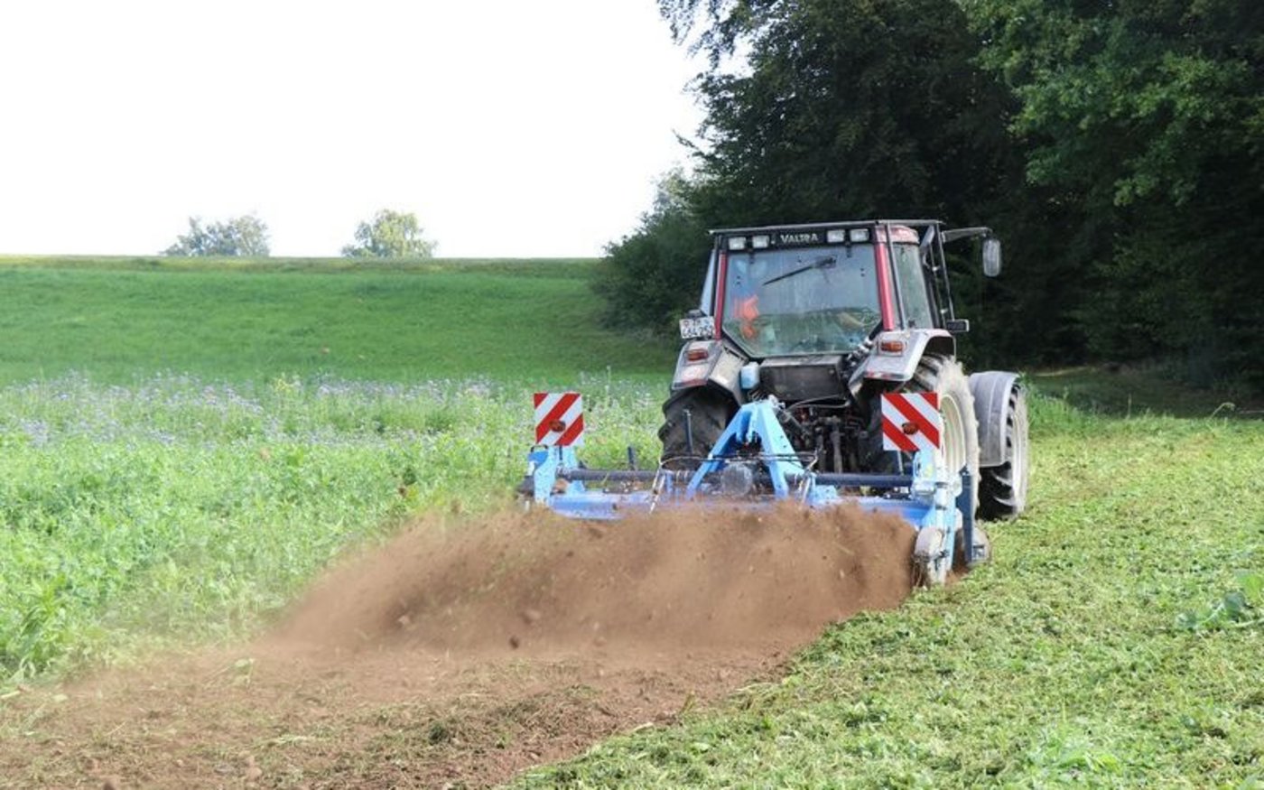 Mit der Flächenrotte kann die Pflanzenmasse in den Boden eingebracht werden. (Bild Agricultura Regenerato)