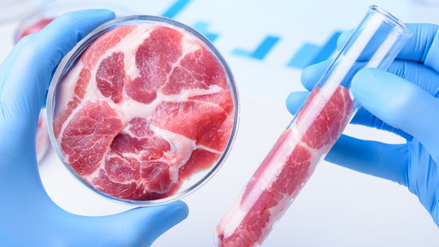 Das Fleisch aus dem Reagenzglas ist die grosse Hoffnung für die Zukunft. Bei der Produktion müssen aber auch die Energiequellen beachtet werden. (Bild fotolia)