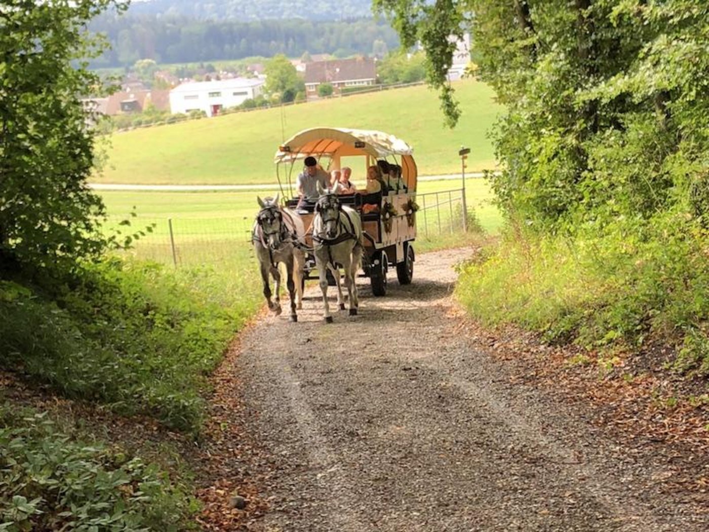 Eine Kutschenfahrt ist eigentlich etwas Gemütliches und Schönes. Im Tirol endete die Fahrt aber für einige Gäste im Spital.  (Symbolbild et)
