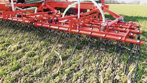 Je früher, desto vor Je früher, desto vorsichtiger ist zu striegeln, je später, desto aggressiver.