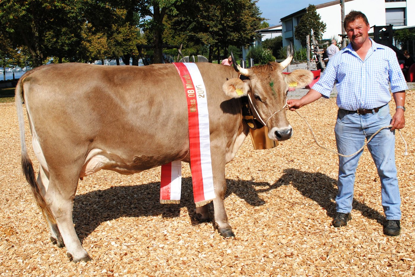 Miss OB March: Joel Azuri von Urs Reichmuth, Altendorf.
