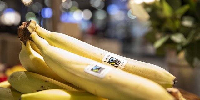 Bei Lidl Schweiz gibt es nur noch Havelaar-Bananen. (Bild zVg)