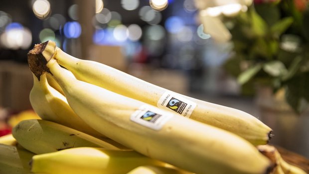 Bei Lidl Schweiz gibt es nur noch Havelaar-Bananen. (Bild zVg)