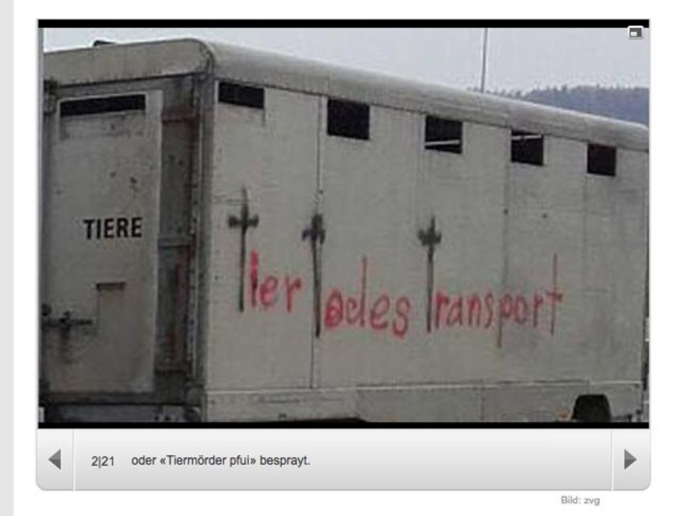 Tierschutztransporter wurden mit Hassparolen besprayt. (Bild Screenshot «20 Minuten»)