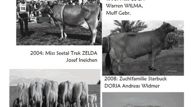 Ein Auszug aus der Chronik der Viehzuchtgenossenschaft Eschenbach LU. (Screenshot Katalog)
