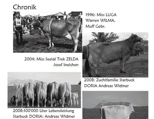 Ein Auszug aus der Chronik der Viehzuchtgenossenschaft Eschenbach LU. (Screenshot Katalog)