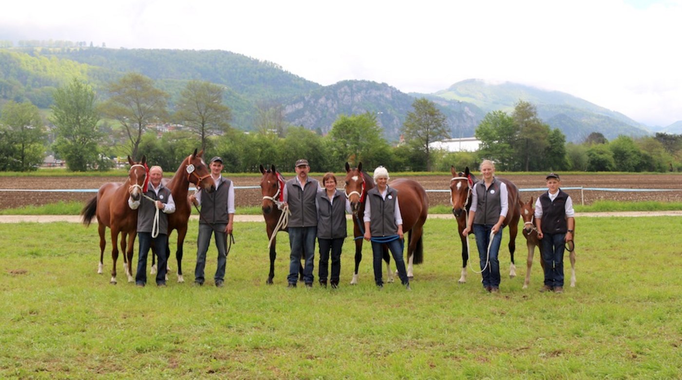 Otto und Luzia (Mitte) und Sohn Dominik Portmann (2. v. l.) mit ihren Helfern an der Zuchtfamilienschau in Balsthal SO. Die Stute Marquise (rechts mit Fohlen) erreichte mit ihren Töchtern den zweiten Rang. (Bild zVg)