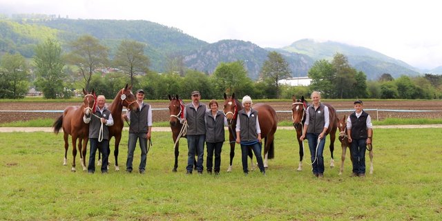 Otto und Luzia (Mitte) und Sohn Dominik Portmann (2. v. l.) mit ihren Helfern an der Zuchtfamilienschau in Balsthal SO. Die Stute Marquise (rechts mit Fohlen) erreichte mit ihren Töchtern den zweiten Rang. (Bild zVg)