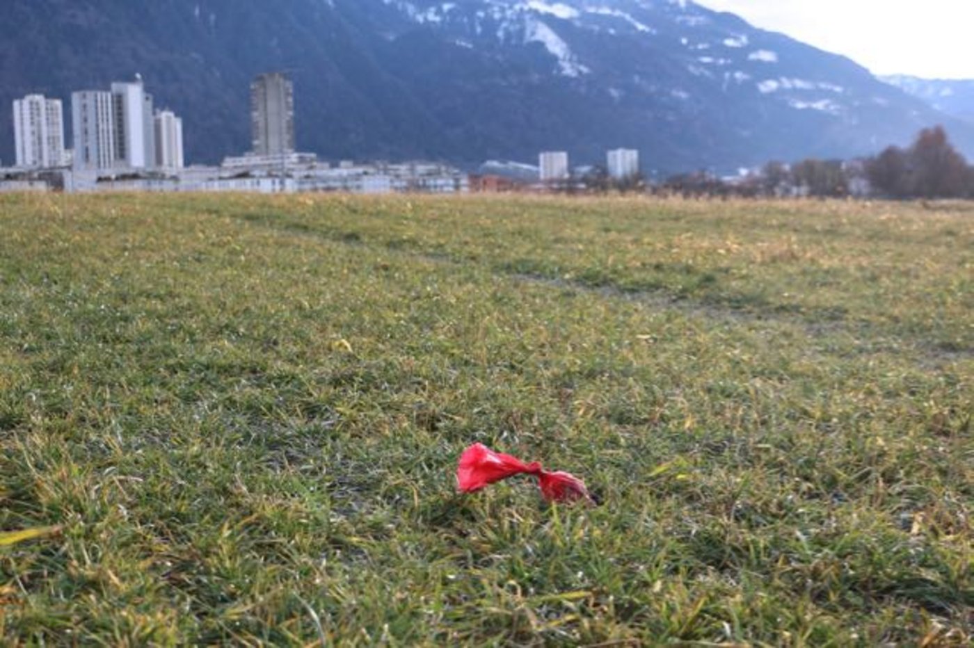 Ärgerlich: Teilweise landet der Hundekot in Plastik verpackt auf den Wiesen im Naherholungsgebiet. .