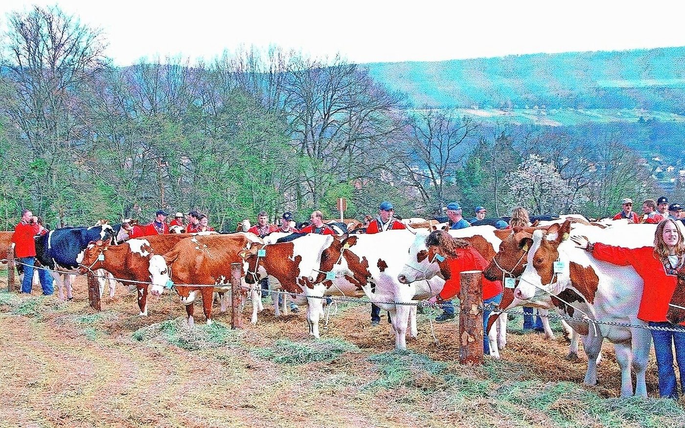 Das waren noch Zeiten: Ganze 20 Jahre ist es her, seit in Laufen die letzte Jubiläumsschau gefeiert wurde. 