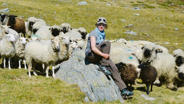 Sarah Müri hütet schon den dritten Sommer 220 Schafe im Turtmanntal VS. Wegen der Präsenz des Wolfes muss die Hirtin einen enormen Mehraufwand in Kauf nehmen.(Bild Peter Fankhauser)