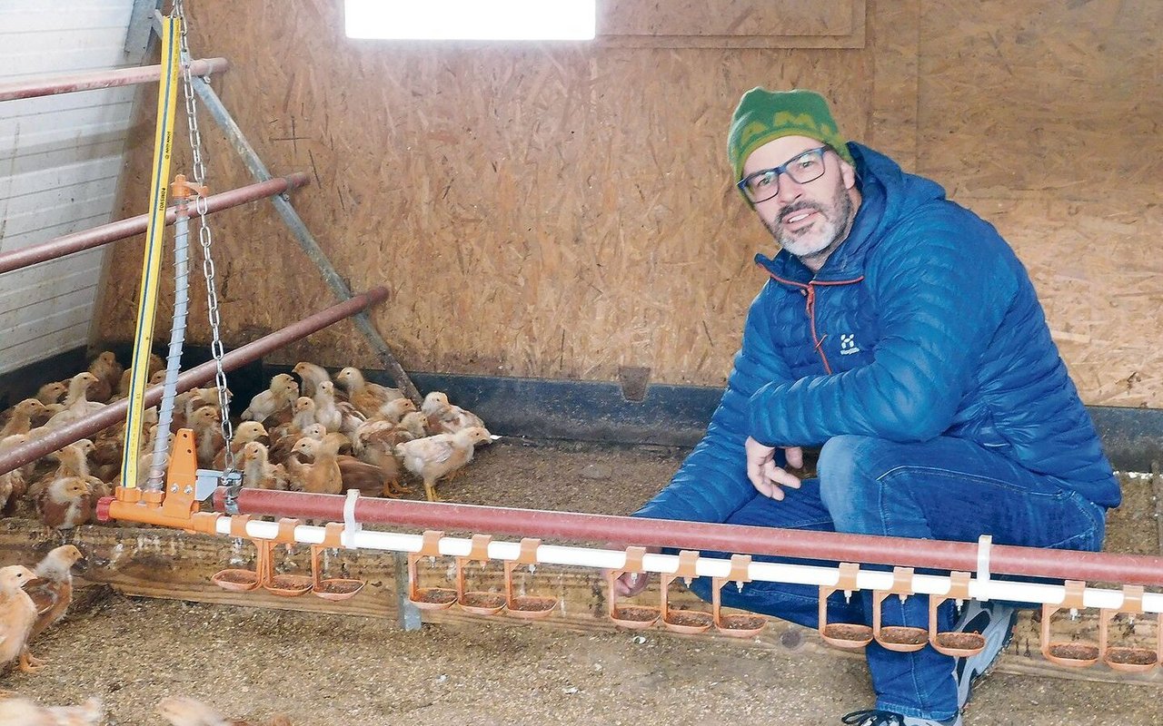 Mathias Stalder hält auf seinem Biobetrieb neben Mutterkühen auch Mastgeflügel. 