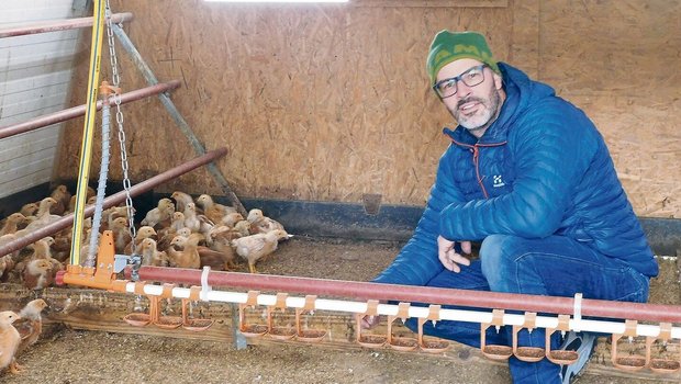Mathias Stalder hält Mathias Stalder hält auf seinem Biobetrieb neben Mutterkühen auch Mastgeflügel.
