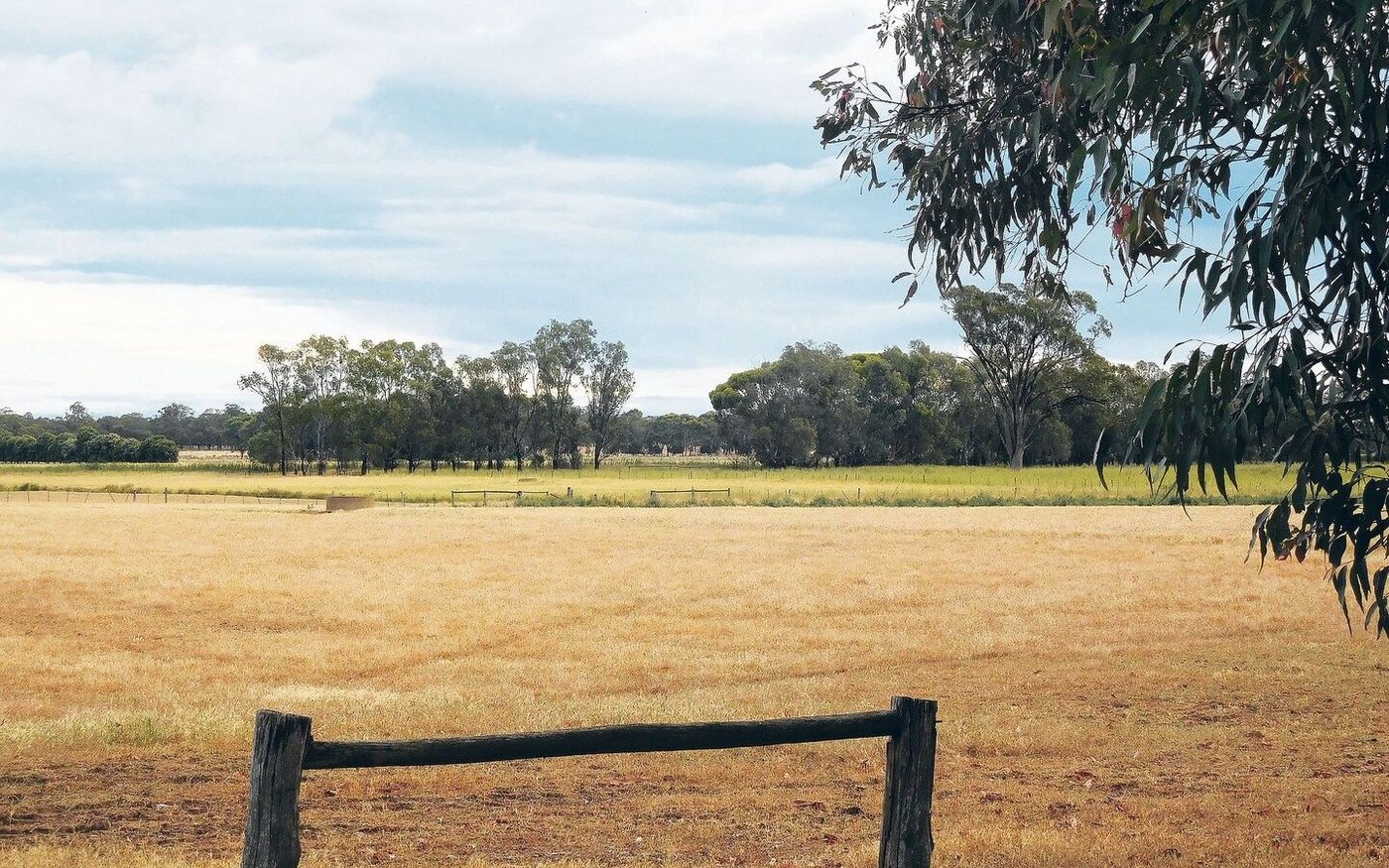 Das australische Klima fordert die Landwirtschaft. Und nicht nur diese: Wenn weniger angebaut wird, hat das Folgen für die ganze Wirtschaftskette. 