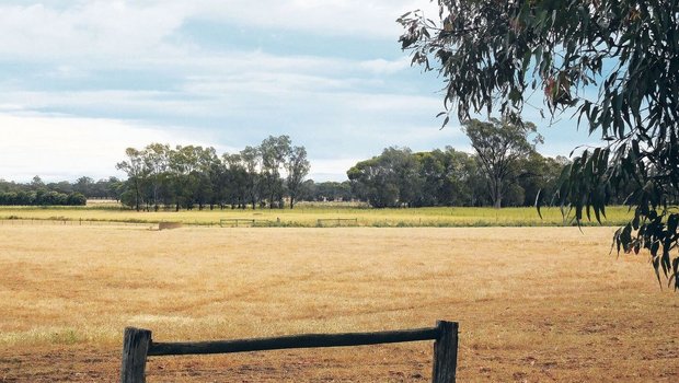 Das australische Klima fordert die Landwirtschaft. Und nicht nur diese: Wenn weniger angebaut wird, hat das Folgen für die ganze Wirtschaftskette. 