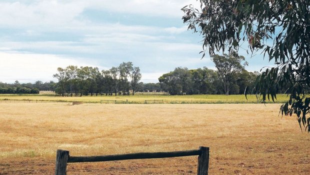 Das australische Kli Das australische Klima fordert die Landwirtschaft. Und nicht nur diese: Wenn weniger angebaut wird, hat das Folgen für die ganze Wirtschaftskette.