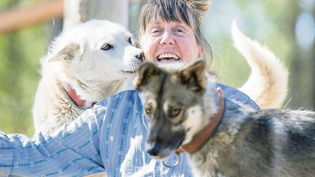 Lotti Meier mit zwei ihrer rund 100 Hunde. Die Tiere fressen pro Monat rund eine Tonne Fleisch – plus Trockenfutter. 