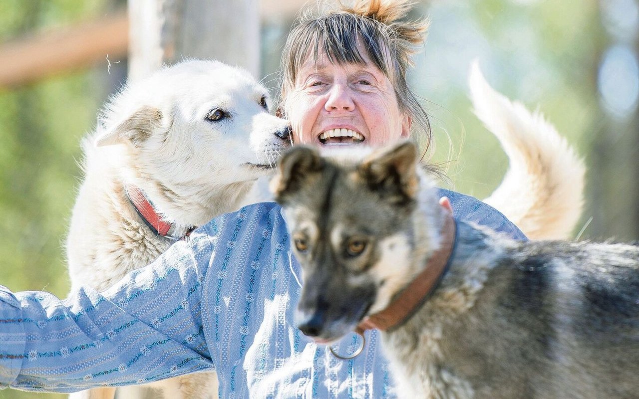 Lotti Meier mit zwei ihrer rund 100 Hunde. Die Tiere fressen pro Monat rund eine Tonne Fleisch – plus Trockenfutter. 