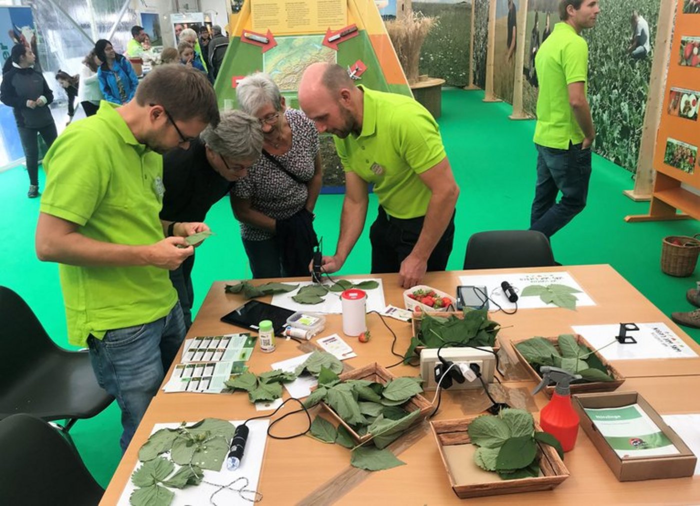 Thurgauer Bauern erklären den Konsumenten die Landwirtschaft. (Bilder lid/mr)