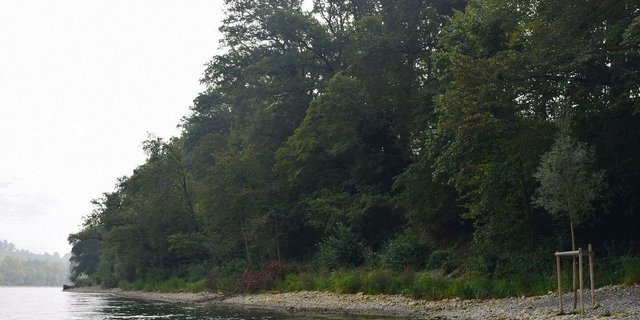 Der Galgenacker bei Diessenhofen war mit Betonplatten verbaut. Letzten Winter wurden Kiesflachufer angelegt und Weiden gepflanzt.