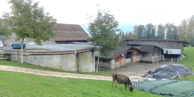 Abgedecktes Güllesilo auf einem Landwirtschaftsbetrieb im Kanton Schwyz. In diesem Kanton und im Kanton Zug wurde die damals noch mit Beiträgen unterstützte Abdeckung vor Jahren stark forciert, im Gegensatz zum Kanton Luzern.  (Bild Josef Scherer)