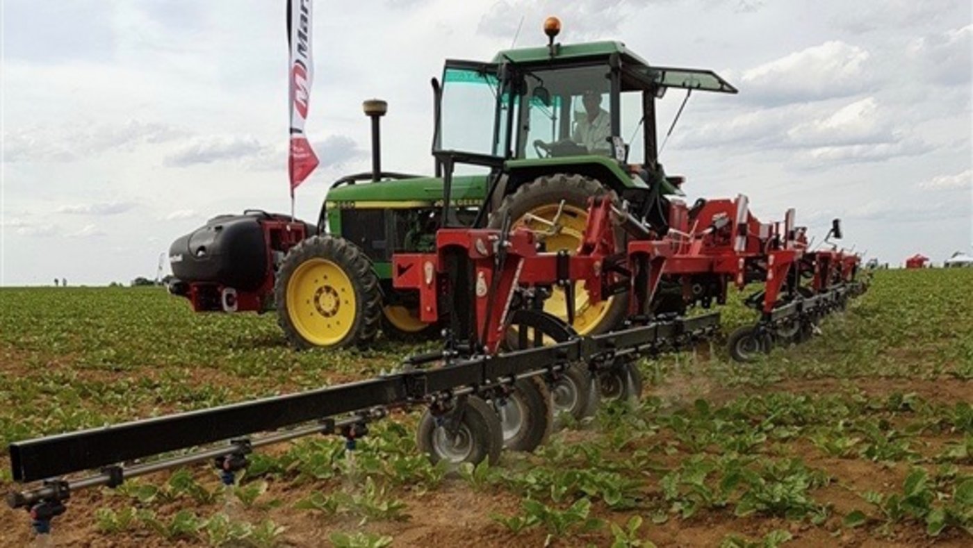 Mit der Bandspritze kann die Behandlung im Zuckerrübenanbau auf die Reihe begrenzt werden, wodurch Herbizide eingespart wird. (Bild Samuel Jenni, SFZ)