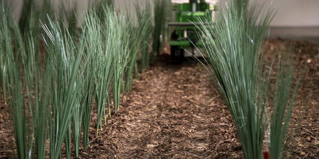 Die Zukunft hält für Landwirte viele technische Neuerungen bereit. (Bild lid/mg)