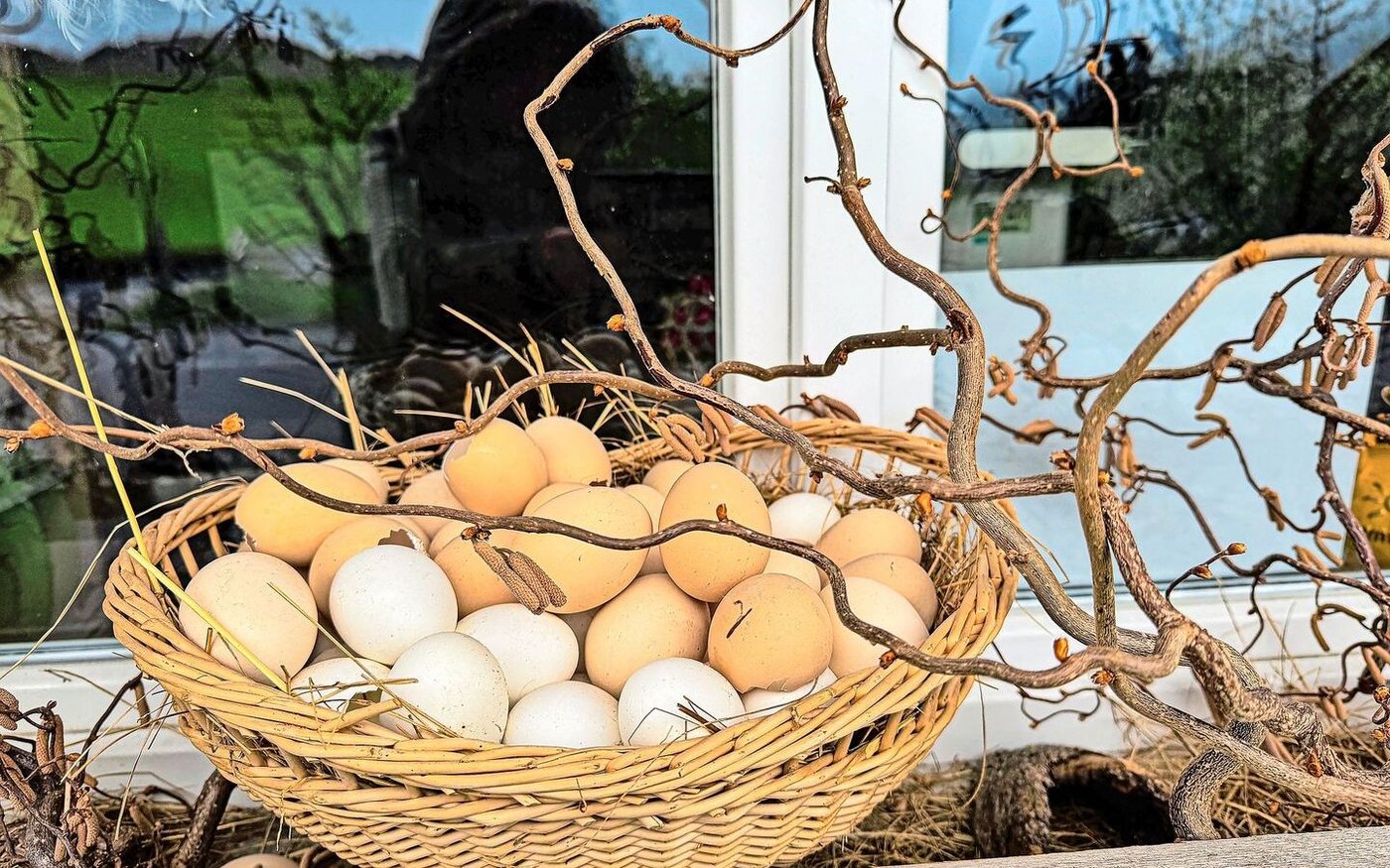 Eier sind ein wichtiger Betriebszweig für Familie Flühler. Zum Betrieb gehören 5000 Legehennen. 