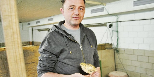Dominik Fässler legt Wert darauf, dass die Küken schon von früh an Menschen gewöhnt sind. So werden sie ruhig und zahm. 						(Bild Alexandra Stückelberger)