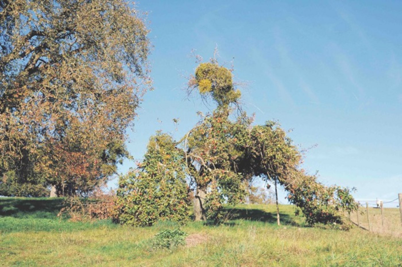 Sich Hilfe holen, bevor man unter der Last bricht, kann Mut kosten, lohnt sich aber. (Symbolbild ag)