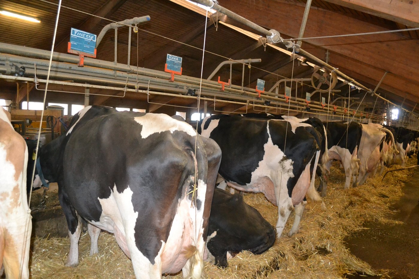 Der Tierpflege wird grosse Beachtung geschenkt. 