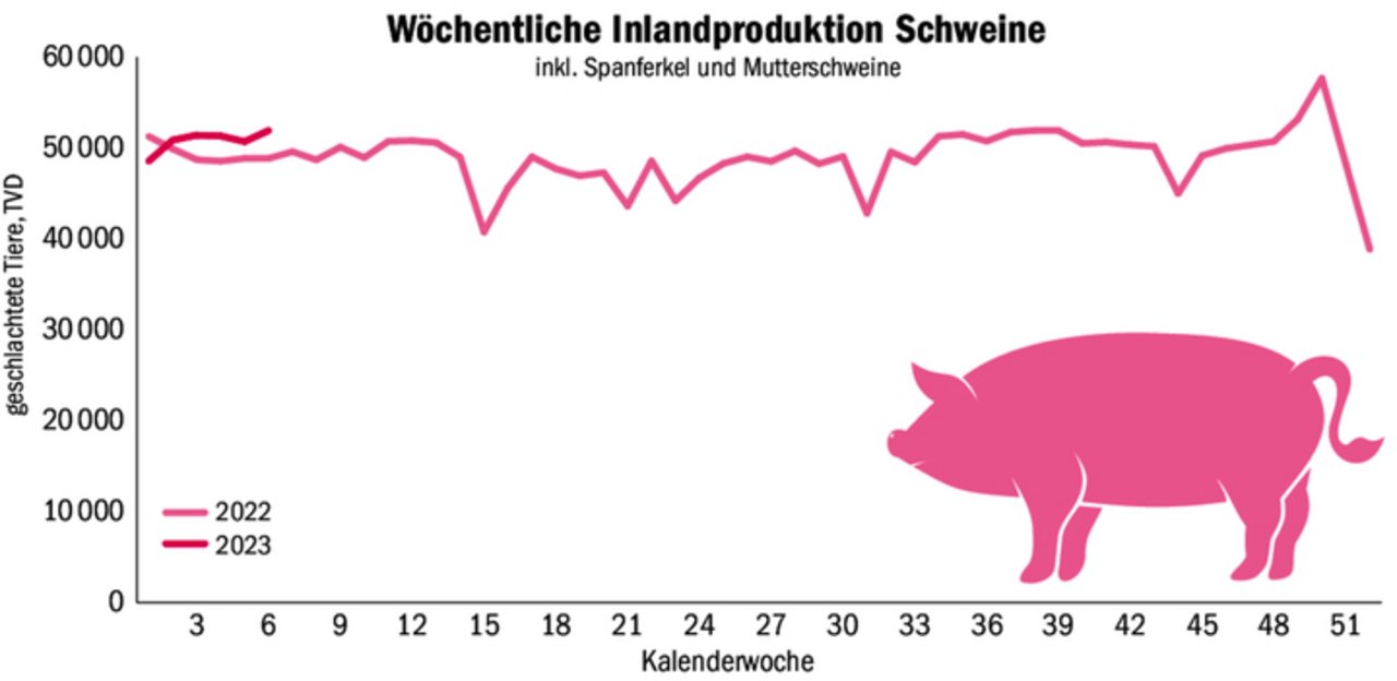 Weiterhin werden mehr Schweine geschlachtet, als der Inlandmarkt benötigt. Je nach Situation werden die Entlastungsmassnahmen spätestens Mitte März aufgehoben. 