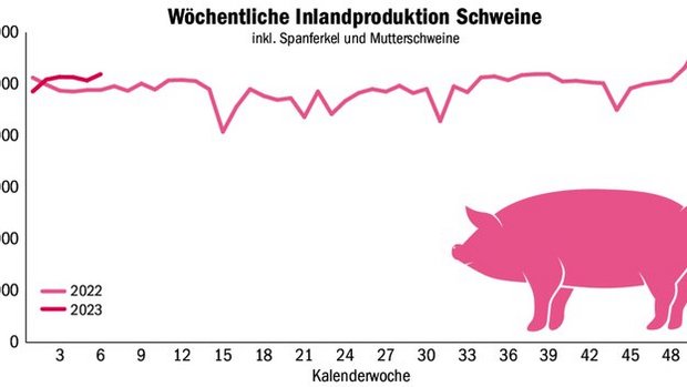 Weiterhin werden mehr Schweine geschlachtet, als der Inlandmarkt benötigt. Je nach Situation werden die Entlastungsmassnahmen spätestens Mitte März aufgehoben. 