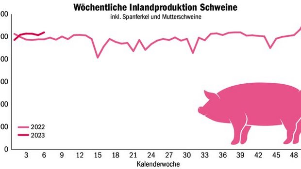 Weiterhin werden meh Weiterhin werden mehr Schweine geschlachtet, als der Inlandmarkt benötigt. Je nach Situation werden die Entlastungsmassnahmen spätestens Mitte März aufgehoben.