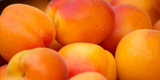 2019 ist ein hervorragendes Aprikosenjahr. (Bild Pixabay)