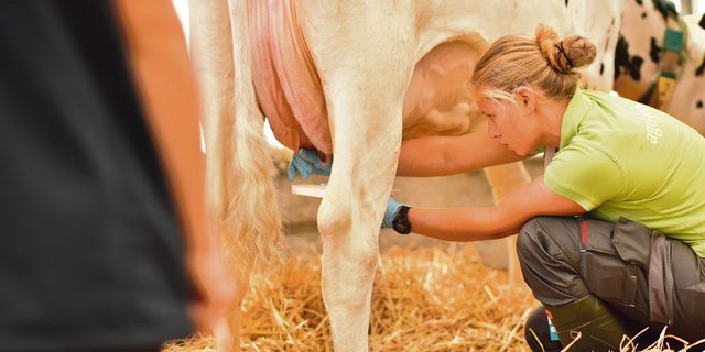 Damit Lernende zu fähigen Landwirten werden, brauchen sie ein gesundes Mass zwischen Anleitung und Verantwortung. (Symbolbild Schweizer Bauernverband)