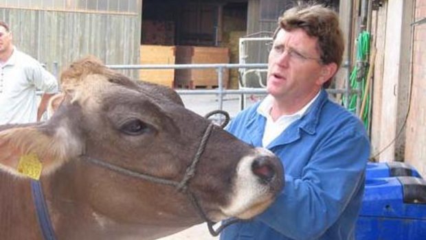 Ein passionierter Braunviehzüchter: Peter Gfeller präsentiert eines seiner Tiere vor internationalen Agrarjournalisten. (Bild akr)
