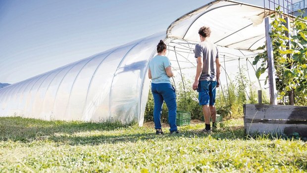 Die Bio-Kontrollen werden auch heuer kommen. Die Vorbereitungscheckliste Bio-Kontrolle hilft, sich gut vorzubereiten, heisst es vonseiten Kontrollorganisation Bio Test Agro. 