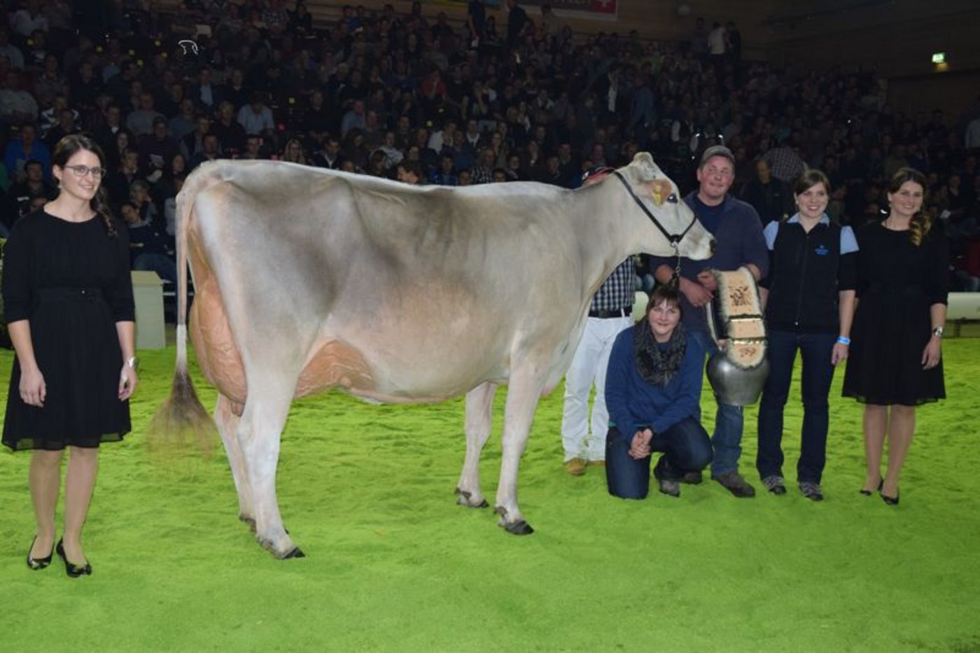 Den Schöneutertitel bei den mittleren Kühen holt sich Jolahofs Jongleur Europa von Paul Reinhard aus St. Niklausen OW.