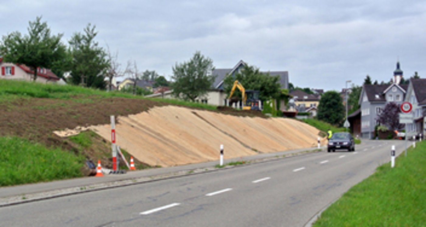 Die Holzwollevliese haben sich in verschiedenen Pilotprojekten als Erosionsschutz bewährt. (Bild: zvg)