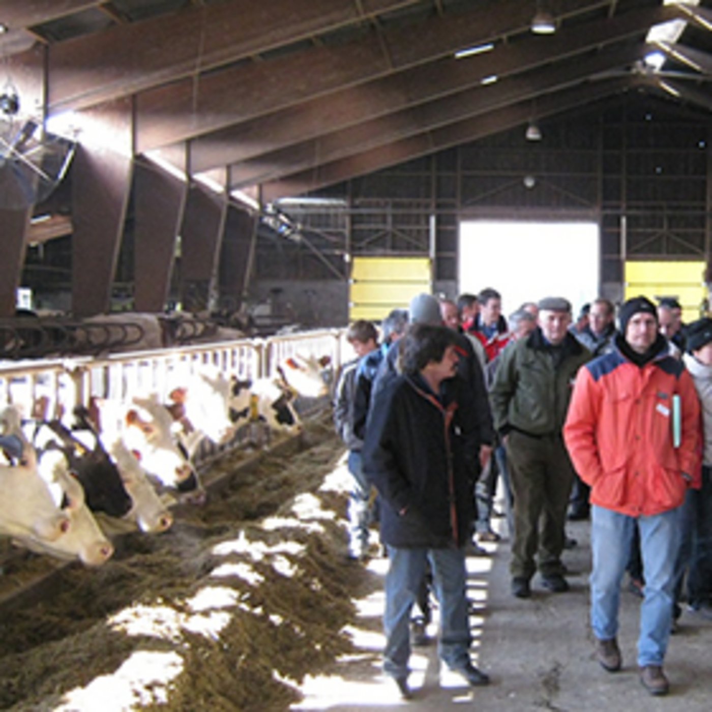 Zwei Betriebsgemeinschaften öffnen ihre Türen für Interessierte. (Bild Agridea)