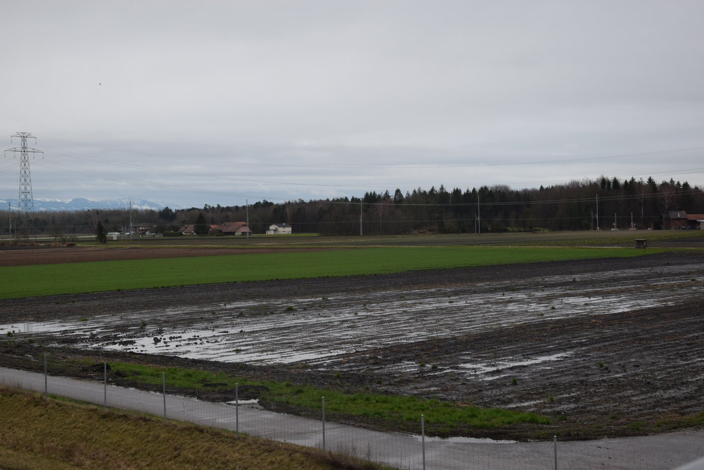Reichlich Wasser liegt im Seeland: Hier auf einem Feld in Gampelen BE. 