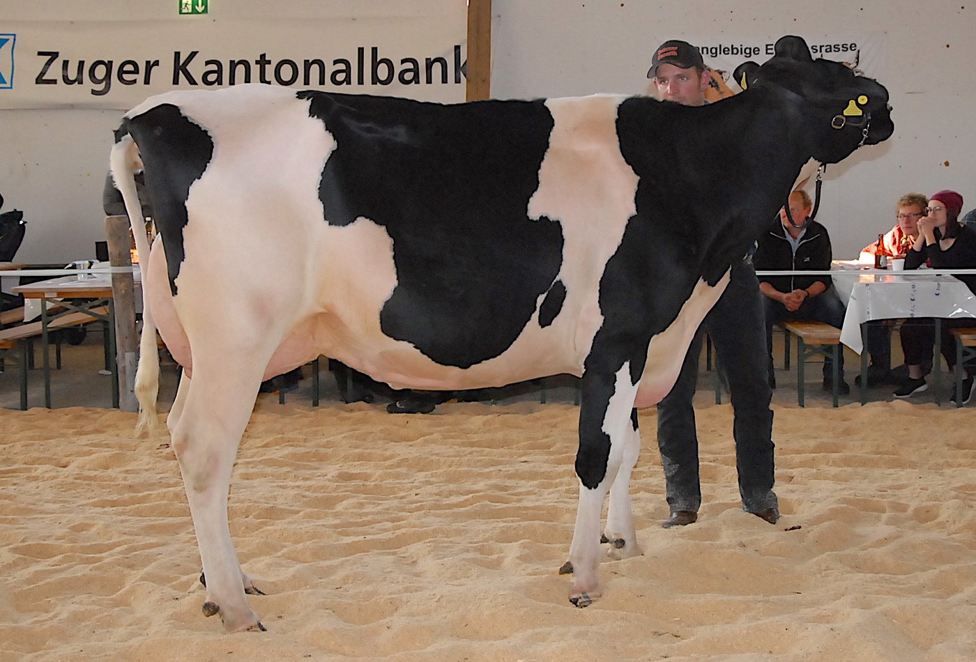 Schöneuter 2. und folgende Laktationen Golden Dream Glynn von Peter Heinzer, Walchwil.