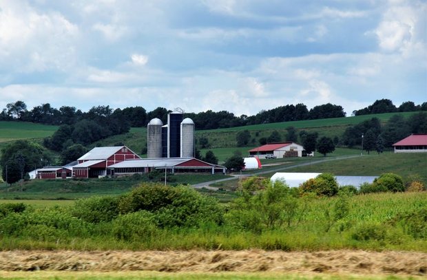 Rasanter Strukturwandel in der amerikanischen Milchwirtschaft Die tiefen Preise sind der Hauptgrund für die Betriebsaufgaben in der US-Milchwirschaft. (Bild lid)