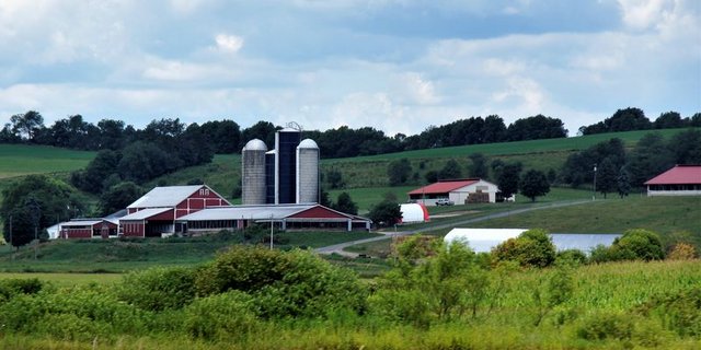 Die tiefen Preise sind der Hauptgrund für die Betriebsaufgaben in der US-Milchwirschaft. (Bild lid)