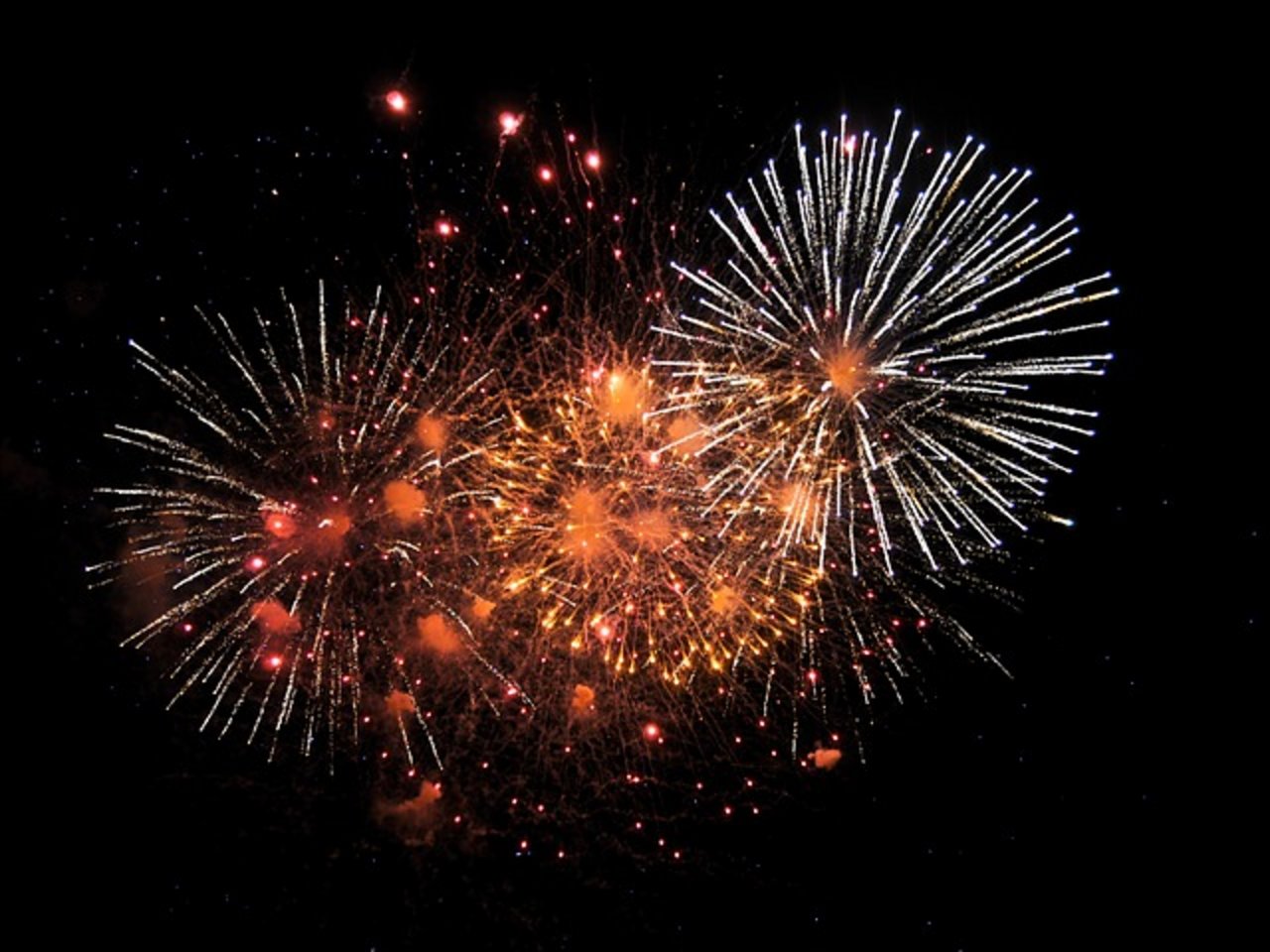 Migros geht davon aus, dass es vermehrt zu Feuerwerksverboten kommen wird. (Bild pixabay)