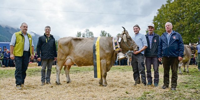 Miss OB wurde General Belinda von Gusti Zurfluh aus Isenthal, eine «Top-Bergkuh» befand Schauexperte Anderegg. (Bilder Andrea Gysin)