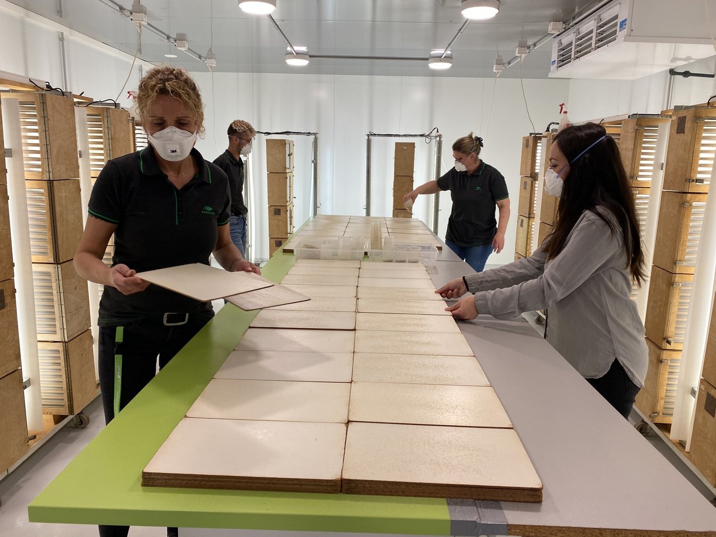 Grössere Räumlichkeiten für die Zucht der Trichogramma-Schlupfwesepen. (Bild Katrin Erfurt)